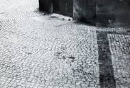 Detailní snímek místa postřelení Blanky Dočekalové. Na snímku jsou patrny krevní stopy.