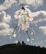 Projekt Czechia na snímku fotografky roku Michaely Karásek Čejkové.