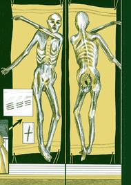 Ilustrace z knihy Pozor doktor! Dějiny medicíny v sedmi dnech.