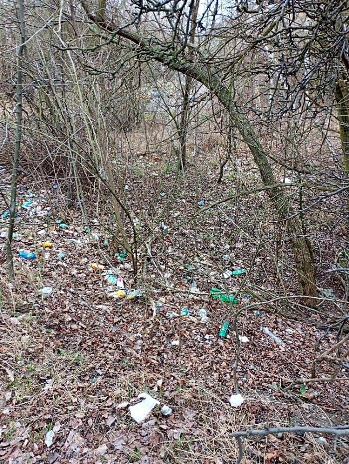 Dobrý den, černá skládka byla uklizena.