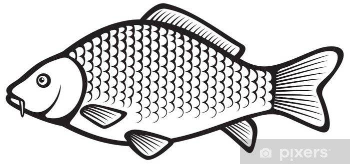 Na místním obecním rybníce bude umožněn lov ryb pro děti, a to v úterý 23. července od 17 hodin. Ulovené ryby se budou vracet zpět do rybníka.
S sebou si děti přinesou rybářské vybavení a občerstvení.
V případě nevhodného počasí se akce odkládá na jiný termín, o kterém vás budeme informovat.
Pro bližší informace je možno se obrátit na pana Pavla Konečného na telefonním čísle: 777 821 405
Srdečně zveme všechny mladé rybáře.