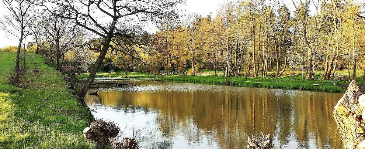 Po covidové odmlce pořádáme opět zájezd za našimi přáteli do sesterských Kojetic u Třebíče.
Odjezd - sobota 6.5.2023 v 9:00 od budovy OÚ Kojetice
Návrat - neděle 7. 5. 2023 v odpoledních hodinách
Program:
Symbolický výlov místního rybníka, možnost ochutnávky a nákupu vín, sportovní klání mezi našimi obcemi, přátelské setkání a povídání.
Bližší informace viz příloha, případně na OÚ.