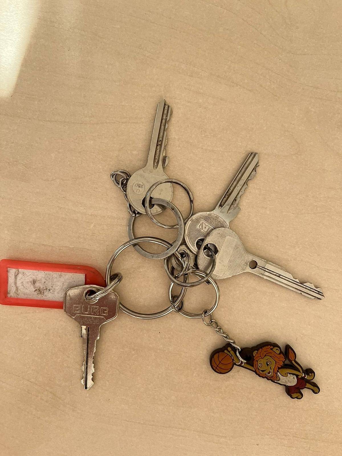 Včera byly nalezeny na sáňkovačce v parku tyto klíče. Vlastník si je může vyzvednout na městském úřadě. 😉