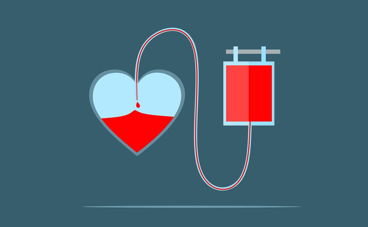 Město Orlová každoročně oceňuje své občany, kteří jsou dobrovolnými dárci krve. Oceňováni jsou dárci, kteří dosáhli 40, 80, 120, 160 či 250 bezpříspěvkových odběrů.
Každoročně seznamy dárců poskytují odběrové stanice, ale může se stát, že seznamy jsou neúplné.
Vyzýváme proto dárce krve z Orlové, kteří v roce 2022 dosáhli jedno...