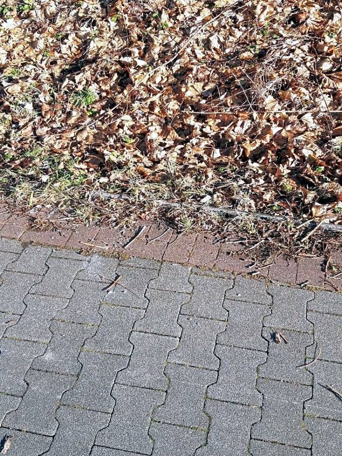 předáno majiteli a správci pozemku k dalšímu opatření - uvedený pozemek není v majetku a správě obce Staré Město