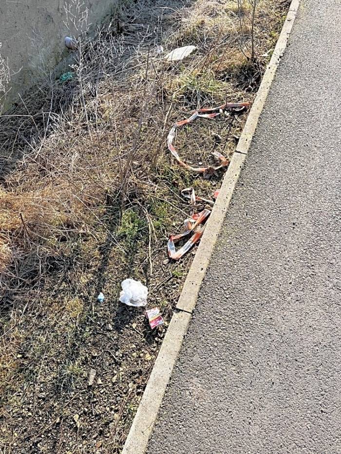 Dobrý den, 
dne 23.3. proběhla kontrola a předmětný nepořádek se již na místě nenacházel.
S pozdravem Městský úřad Louny