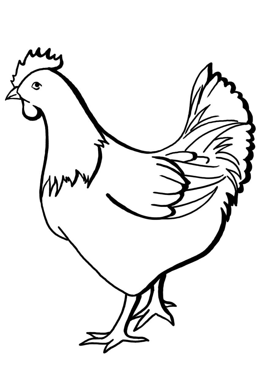 Farma Kozlovský s.r.o. nabízí k prodeji rozkrmené krůty o váze 5-7 kg. Cena je 110 Kč/kg. Prodej probíhá na farmě v Býškovicích u fotbalového hřiště v úterý 23.5. od 17 do 17:30. Jiné termíny jsou možné po telefonické domluvě na čísle 774622838.