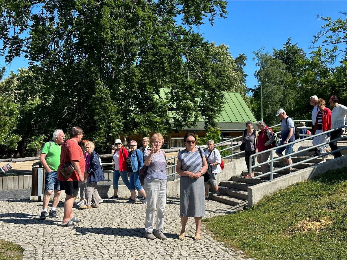 Poslední květnový den v ranních hodinách odjelo z autobusového nádraží 82 litoměřických seniorů směr Liberec, kde navštívili zoologickou a botanickou zahradu. Akce s názvem "Zvířata a rostliny – výlet" se konala v rámci kampaně Místa přátelská seniorům, kterou pro „dříve narozené“ připravilo město Litoměřice. „Výlet se velmi povedl, většina přítomných seniorů si celý den strávený mezi zvířaty a rostlinami pochvalovala, což nás velice těší,“ sdělila místostarostka města Alena Rožcová.
Nejbližší akce v rámci kampaně s názvem Historie vinařství sv. Zdislava se koná již v pátek 2. června. „Aktivita je určena pouze pro seniory, kteří se předem přihlásili. Kapacita je vzhledem k prostoru, ve kterém se koná, omezena,“ upozornila Renáta Jurková, vedoucí odboru sociálních věcí a zdravotnictví městského úřadu.
{gallery}02023/seniori_vylet_liberec{/gallery}