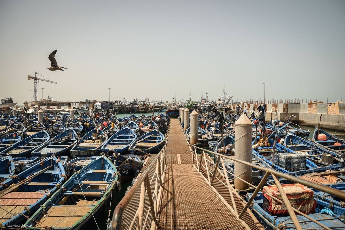 Přístavy města As-Sawíra jsou plné člunů.