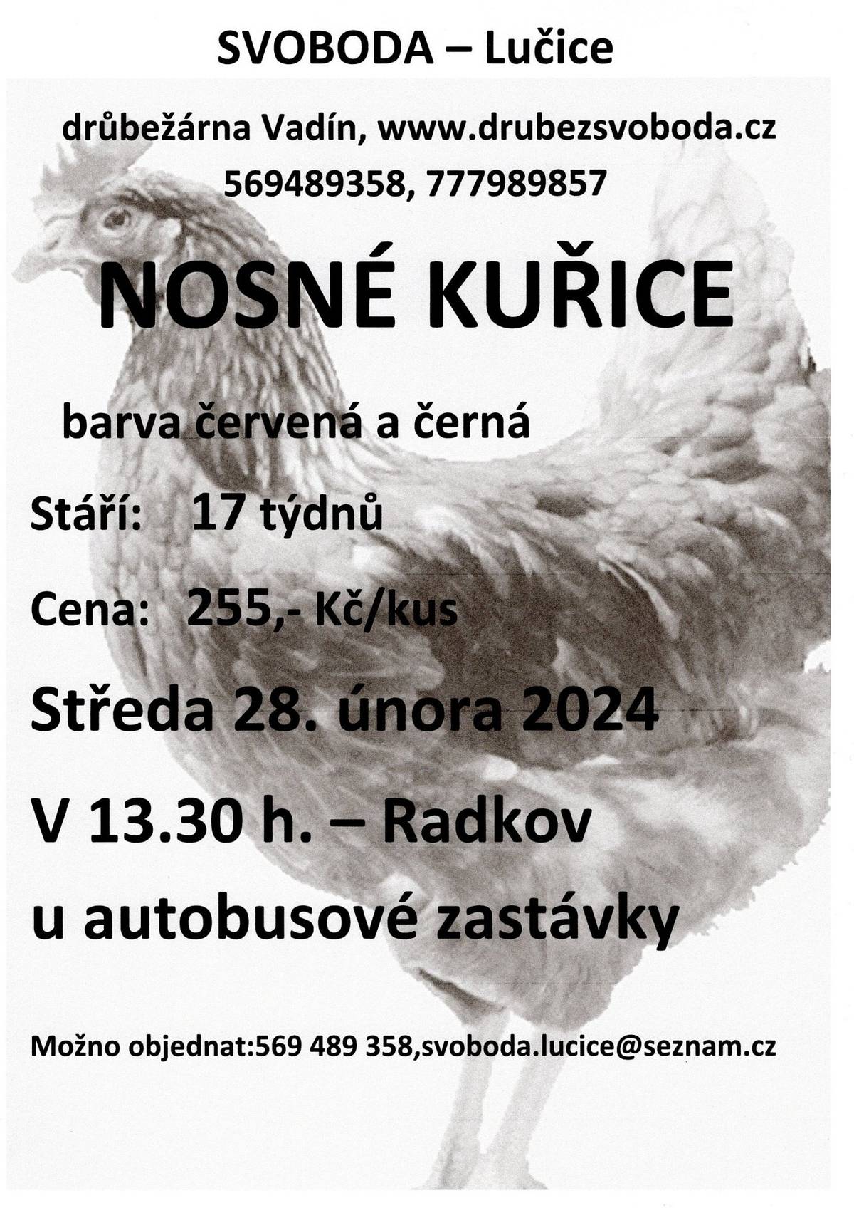 Ve středu 28.února 2024 v 13.30 hodin u autobusové zastávky
nosné kuřice, stáří 17 týdnů, cena 255,- Kč/kus, barva červená a černá. Objednání je možné na  tel. 569 489 358