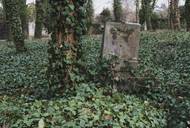 Na asi dvouapůlhektarovém pozemku, který kolem dokola obklopuje bílá cihlová zeď, na první pohled není až na pokrývku břečťanu nic zvláštního. Odbočí-li ale člověk z cesty, která hřbitov pomyslně rozděluje na dvě poloviny, objeví kamenné náhrobky nebo alespoň jejich fragmenty.