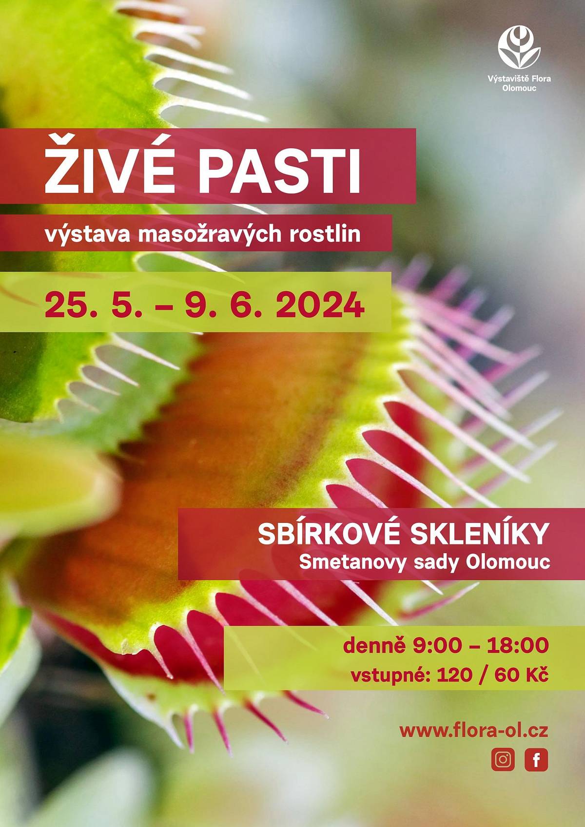 Výstaviště Flora Olomouc vás zve na výstavu masožravých rostlin v termínu 25. 5. - 9. 6. 2024, denně od 09:00 do 18:00 hodin.
