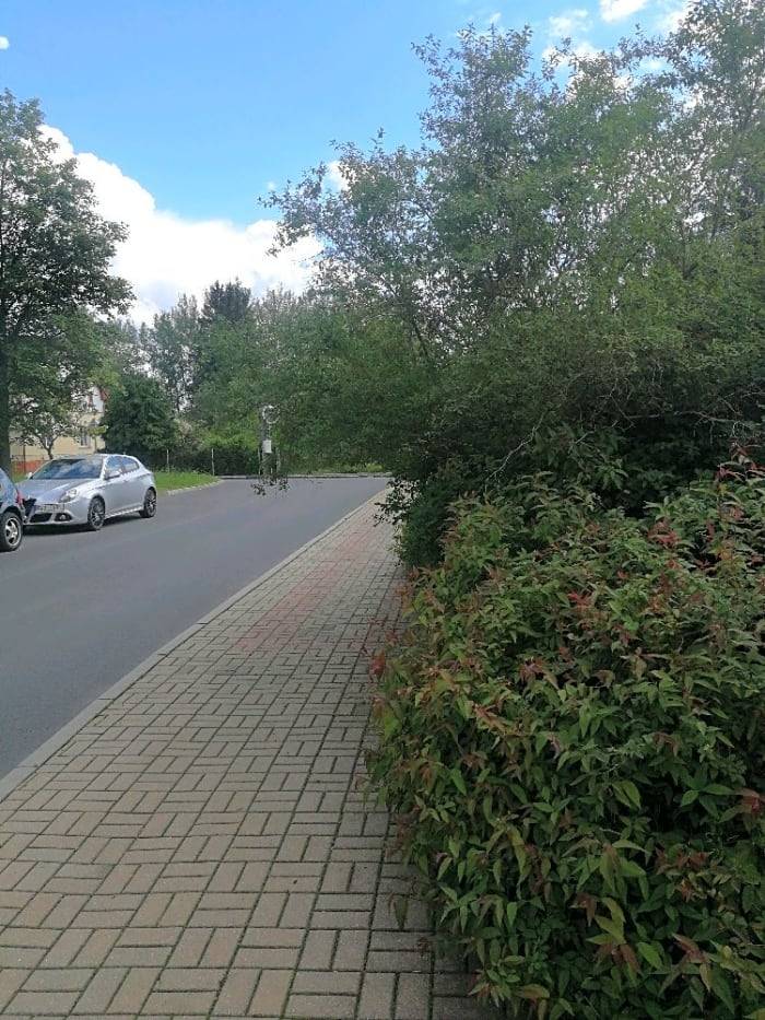 Dobrý  den, zeleň  byla sestříhána. Děkujeme TDS.