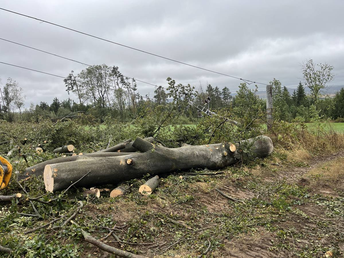Kvůli nepříznivému počasí a silnému větru došlo k pádu stromu na elektrické vedení nad Milíkovem. Strom zničil dva betonové sloupy. Odstavená od el. energie je část obce Černá od obecního úřadu až po areál Agra a celý Milíkov.Na opravě se intezivně pracuje. Předpokládaná obnova elektrické energie se očekává dnes 15. 9. 2024 kolem 17 hodiny odpoledne.Prosíme o strpení a ohleduplnost.