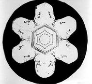 Ukázky z práce, kterou se farmář Wilson "Vločka" Bentley zapsal do historie.