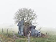 Servaas Van Belle (Belgie): Lidové stavby - přístřešky pro zvířata v okolí belgické obce Remagne. Finalista v kategorii Architektura a design. Ukázka ze série snímků.