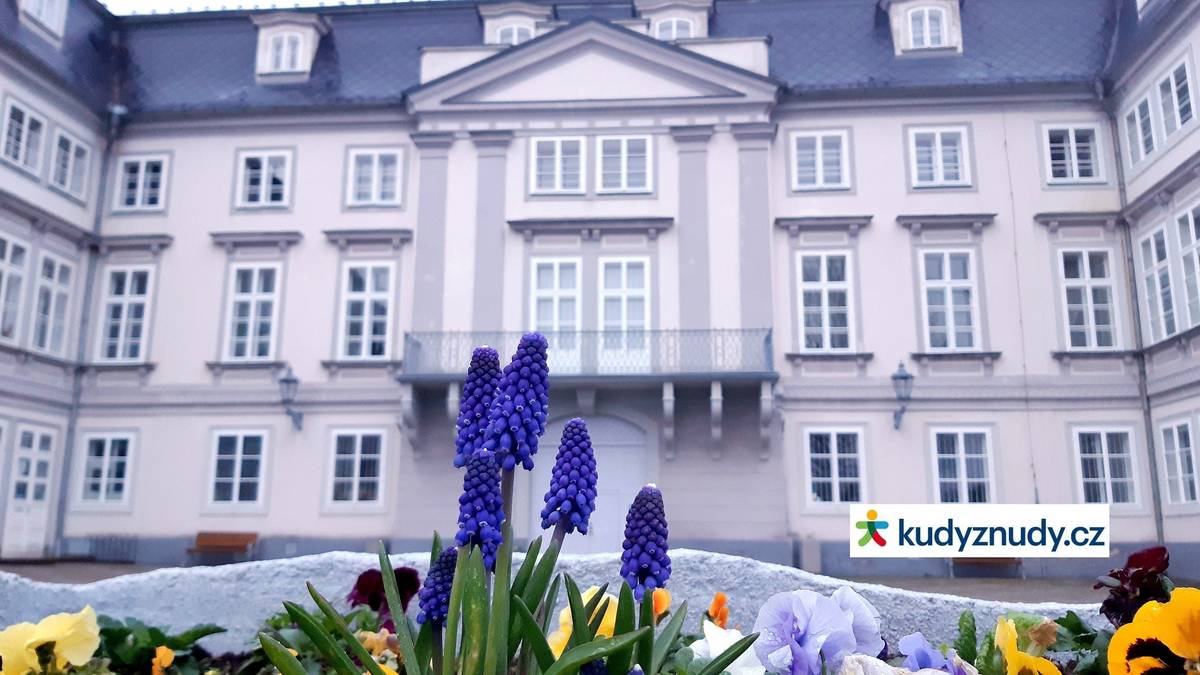 Trh, Tachovský zámek, Rokycanova 1, 34701 Tachov, sobota 13. 5. 2023 od 10.00. Prodej rozmanitého sortimentu