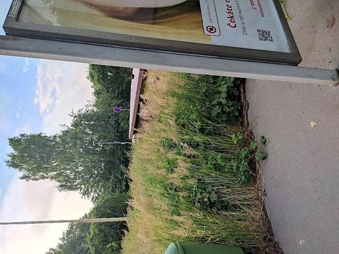 Posekání léto lokality zajistí Středisko městských služeb.