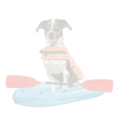 Naplánujte si vodácké trasy