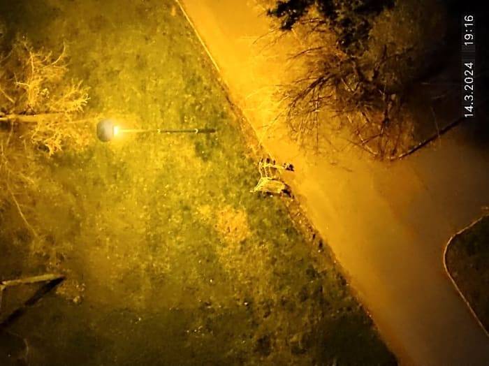 Dobrý den, uklizeno.