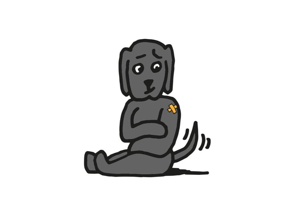 Vakcinace psů a koček proti vzteklině
Kdy: v sobotu 27.4.2024 od 7,30-8,00 hod.
Kde: Vrchy – zastávka autobusu
Cena vakcinace: 300,- Kč
S sebou očkovací průkaz.