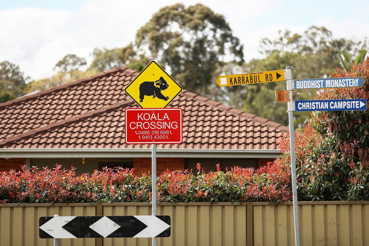 Dopravní značka upozorňující na úsek silnice, kde řidič může narazit na přebíhající koaly. Auta představují pro tato zvířata další velké nebezpečí.