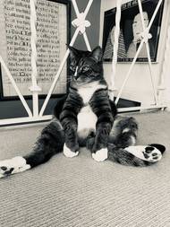 Lucy Slaterová: Tak co? Čestné uznání, Animal Friends Comedy Pet Photo Awards 2021