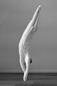 Kazutoshi Ono: Primabalerína. Ukázka ze snímků doposud přihlášených do soutěže Animal Friends Comedy Pet Photo Awards