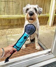 Janet Gordonová: Interview. Ukázka ze snímků doposud přihlášených do soutěže Animal Friends Comedy Pet Photo Awards