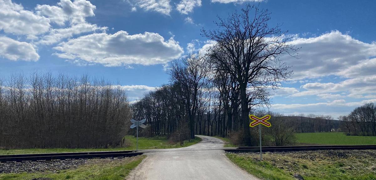 V lokalitě „jasanová alej Horka – Buda“, došlo k významnému zhoršení zdravotního stavu stromů v důsledku masivního napadení starších i nově vysazených stromů lýkohubem jasanovým a zrnitým.Situace byla na místě prověřena a konzultována s Agenturou ochrany přírody a krajiny, s Ústředním kontrolním a zkušebním ústavem zemědělským (ÚKZUZ) a s odborem ŽP Magistrátu města Mladá Boleslav (vydané souhlasné stanovisko). 
Dle posudku ÚKZUZ není proti tomuto napadení žádná účinná ochrana a k zamezení dalšího šíření je potřeba tyto dřeviny odstranit. Zároveň významně zhoršený zdravotní stav představuje bezpečnostní riziko pro provoz na komunikaci, která touto alejí prochází.  Proto bylo ÚKZUZ doporučeno jako jediné vhodné řešení okamžité jednorázové pokácení celé aleje. Na tomto postupu se shodli všechny dotčené orgány.
Alej bude nově vysazena jiným druhem neovocných listnatých stromů, které lýkohub jasanový nenapadá, a doplněna o berličky pro dravce na základě podmínek souhlasu vydaného odborem životního Magistrátu města Mladá Boleslav.
Kácení bude zahájeno 11.4.2023 a vyžádá si i omezení provozu komunikace po dobu kácení. Autobusová doprava nebude omezena.