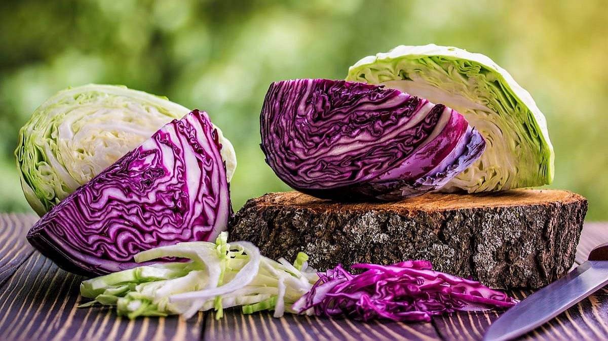 Přijímáme objednávky na zelí k uskladnění.


* krouhané zelí: 22,- Kč/kg
* hlávky: 17,- Kč/ kg
* láhve: 149,90 Kč/ks
 
- více: Facebook obchodu