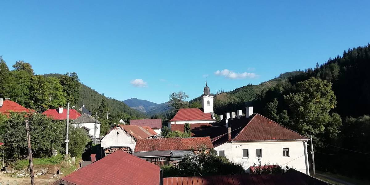 Od 10.11.2023 začínáme s orezom líp okolo hlavnej cesty.