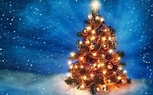 1/ Obecní úřad Rybníček Vás srdečně zve na Rozsvícení vánočního stromku, které se uskuteční v sobotu 25.11.2023 v 17:00 hodin. Koledy zahraje kapela Sebranka z Dražovic. 
Sousedské posezení s občerstvením bude následovat na obecním úřadě (viz. příloha č.1).
 
2/  Srdečně zveme děti i jejich rodiče na mikulášskou diskotéku, která se uskuteční v budově obecního úřadu v úterý 5.prosince 2023. Pekelná zábava vypukne v 16:30 hodin a těšit  se můžete na mikulášskou nadílku, soutěže a občerstvení ( viz. příloha č.2).
 
3/ Jednodenní zájezd do adventní Vídně plánuje obecní úřad Rybníček  uspořádat v  sobotu 16.12.2023. Bližší informace k této akci budou doplněny příští týden.
 
4/ Nové webové stránky obce
www.obec-rybnicek.cz budou spuštěny dne 16.11.2023.