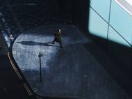 A krása vánočně ozdobených stromů ve Vídni. "Docela připomínají zlatavé obrazy tamního rodáka Gustava Klimta."