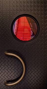 A krása vánočně ozdobených stromů ve Vídni. "Docela připomínají zlatavé obrazy tamního rodáka Gustava Klimta."