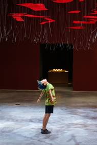 A krása vánočně ozdobených stromů ve Vídni. "Docela připomínají zlatavé obrazy tamního rodáka Gustava Klimta."