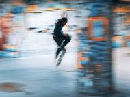 A krása vánočně ozdobených stromů ve Vídni. "Docela připomínají zlatavé obrazy tamního rodáka Gustava Klimta."