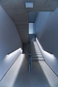 A krása vánočně ozdobených stromů ve Vídni. "Docela připomínají zlatavé obrazy tamního rodáka Gustava Klimta."