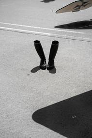 A krása vánočně ozdobených stromů ve Vídni. "Docela připomínají zlatavé obrazy tamního rodáka Gustava Klimta."