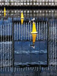 A krása vánočně ozdobených stromů ve Vídni. "Docela připomínají zlatavé obrazy tamního rodáka Gustava Klimta."