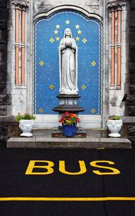 A krása vánočně ozdobených stromů ve Vídni. "Docela připomínají zlatavé obrazy tamního rodáka Gustava Klimta."