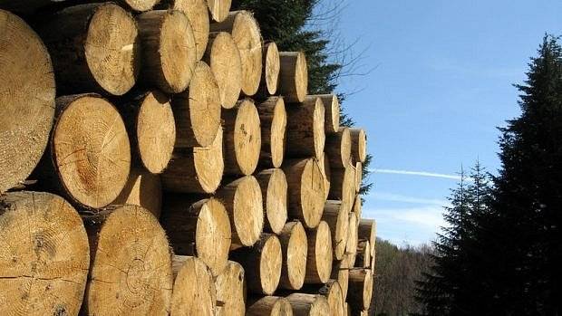 Nabízíme prodej palivového dříví z našich obecních lesů:
 
Jehličnaté ... 704 Kč/prm
List. měkké ... 540 Kč/prm
Olše ... 756 Kč/prm
Bříza ... 972 Kč/prm
List. tvrdé ... 1080 Kč/prm
Minimální odběr 10 prm. Zajištění dopravy je možné.
 
V případě zájmu objednávky na tel: 607 754 590