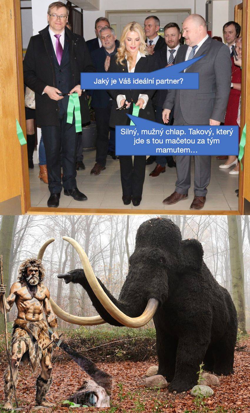 Ideální muž podle slovenské ministryně kultury