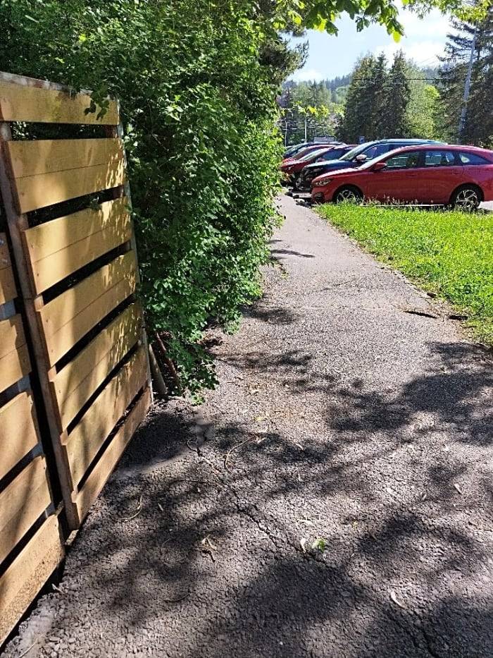 Děkujeme za podnět, keře budou zakráceny