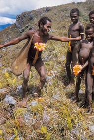 Pospíšilovi chlapci, včetně adoptivního syna Filkiiwodeho, který tančí s rododendrony na vrcholku hory Komugue, 1954.