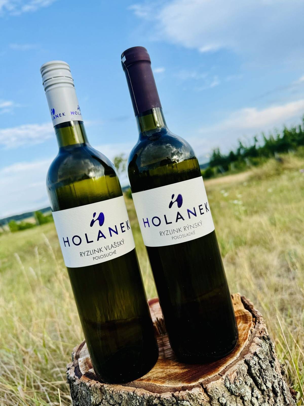 Pojízdná vinotéka - Vinařství Holánek přijede do naší obce v pátek 9.8. a bude stát u prodejny Jednoty od 15:55 do 16:15
v akci:
- Ryzlink rýnský polosladký za 150 kč (běžná cena 200 Kč)
- Ryzlink vlašský polosuchý za 140 Kč (běžná cena 180 Kč)
- Sudová vína za 70-80 kč.
webové stránky vinařství
FB stránky vinařství