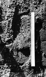 Ze spisu: "Pohled na otisk boty nalezený na místě vraždy a v poli, pocházející pravděpodobně od boty pachatele. Jedná se o černou pracovní obuv šněrovací, gumová podrážka, nejnovější výroby v ceně 199 Kčs." To je otisk, o němž již byla řeč.