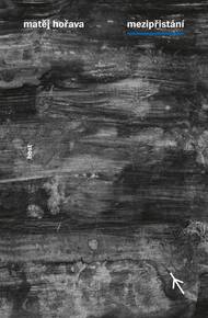 Matěj Hořava je na Literu za prózu nominován s Mezipřistáním, odehrávajícím se v gruzínském Tbilisi. Neznámé a pro většinu čtenářů exotické prostředí přispívá k atraktivitě knihy, míní porota.