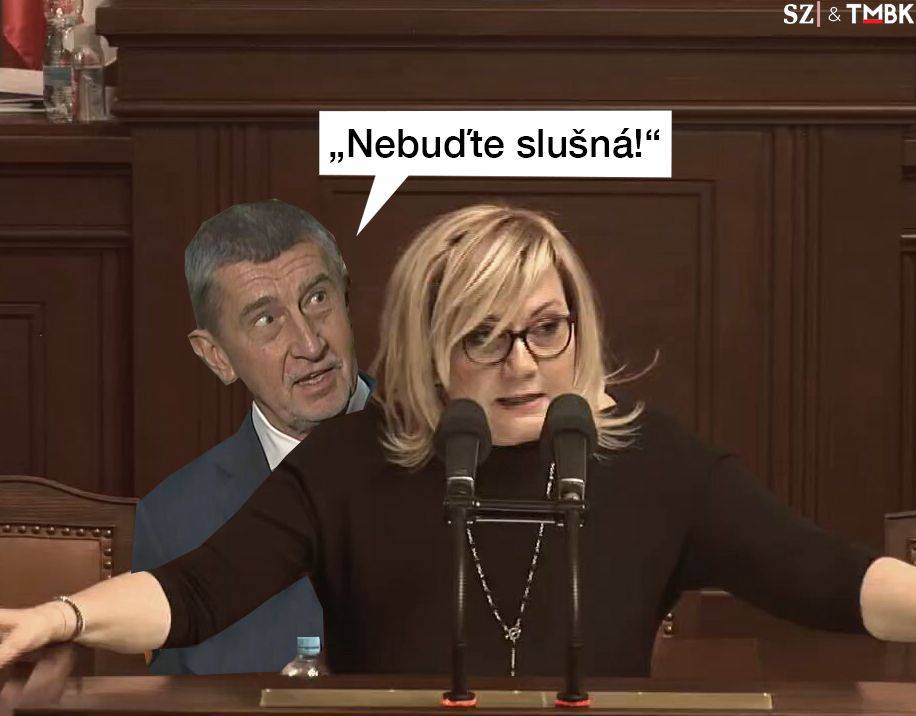 Alena Schillerová přirovnala Markétu Pekarovou Adamovou k mluvčí ruského ministerstva zahraničí. To vzbudilo vlnu reakcí z celé pětikoalice. Co ale za náhlým výpadem šéfky poslanců ANO stojí? Další koláž TMBK pro SZ.