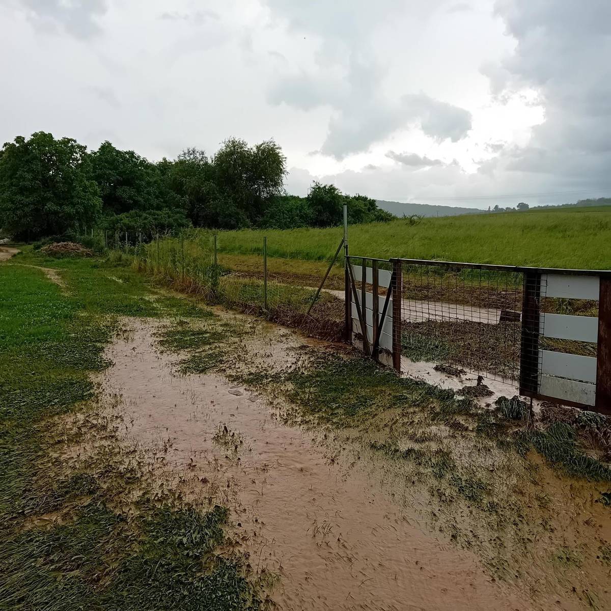 Aj takéto starosti narobila voda občanom v našej obci po prietrži mračien túto stredu 23.5.2024. Kde napršalo za 45 munút 31 milimetrov zrážok.